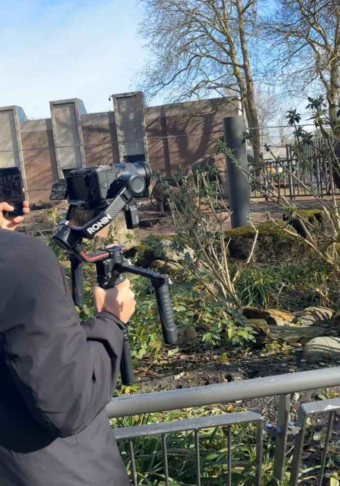Er wordt gefilmd in ARTIS